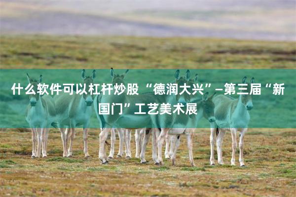 什么软件可以杠杆炒股 “德润大兴”—第三届“新国门”工艺美术展