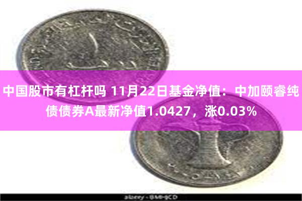 中国股市有杠杆吗 11月22日基金净值：中加颐睿纯债债券A最新净值1.0427，涨0.03%