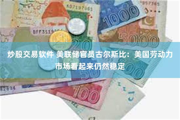 炒股交易软件 美联储官员古尔斯比：美国劳动力市场看起来仍然稳定