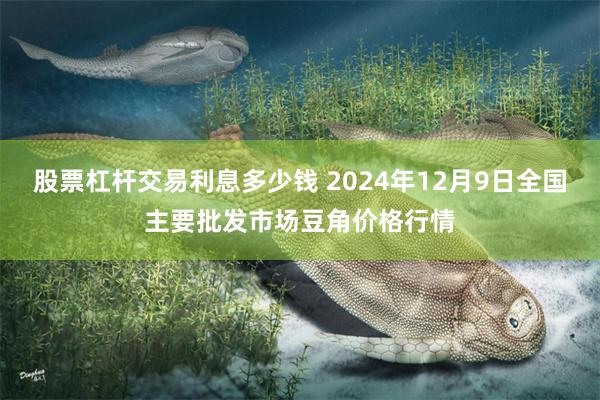 股票杠杆交易利息多少钱 2024年12月9日全国主要批发市场豆角价格行情