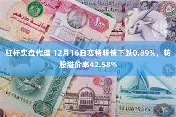 杠杆实盘代理 12月16日赛特转债下跌0.89%，转股溢价率42.58%