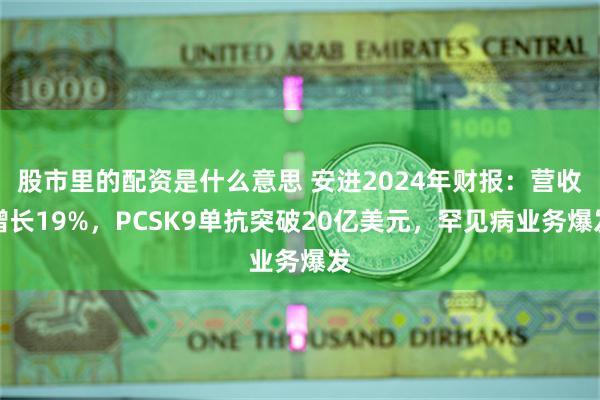 股市里的配资是什么意思 安进2024年财报：营收增长19%，PCSK9单抗突破20亿美元，罕见病业务爆发